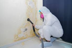 Best Asbestos and Lead Testing During Mold Inspection  in USA